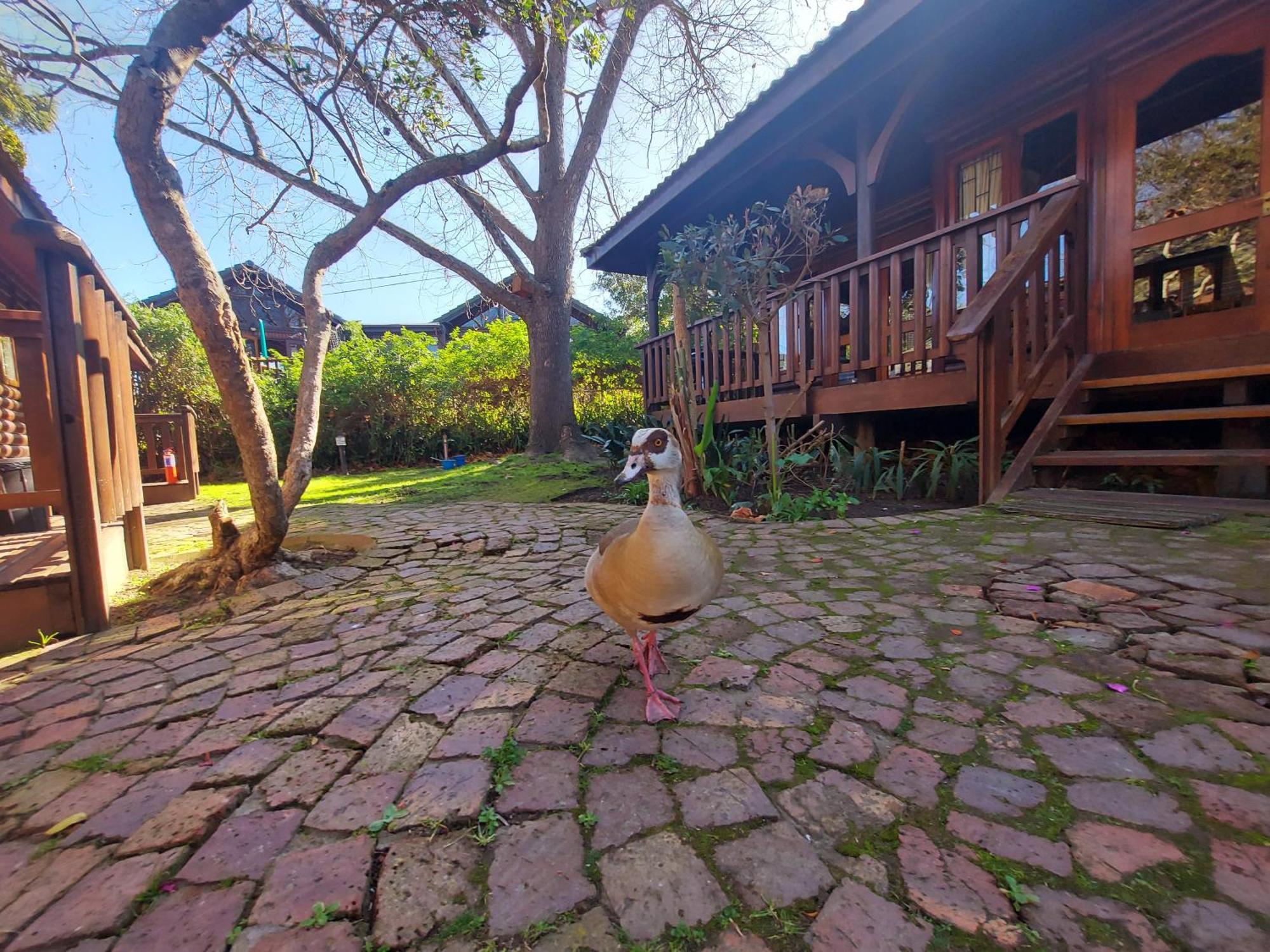 Knysna River Club By First Private Stays Kültér fotó